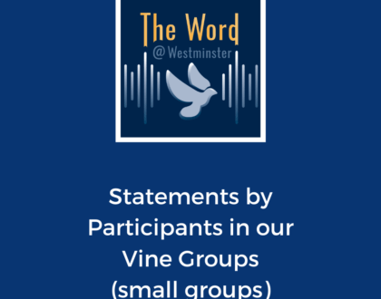 Vine Groups - Participant Statements