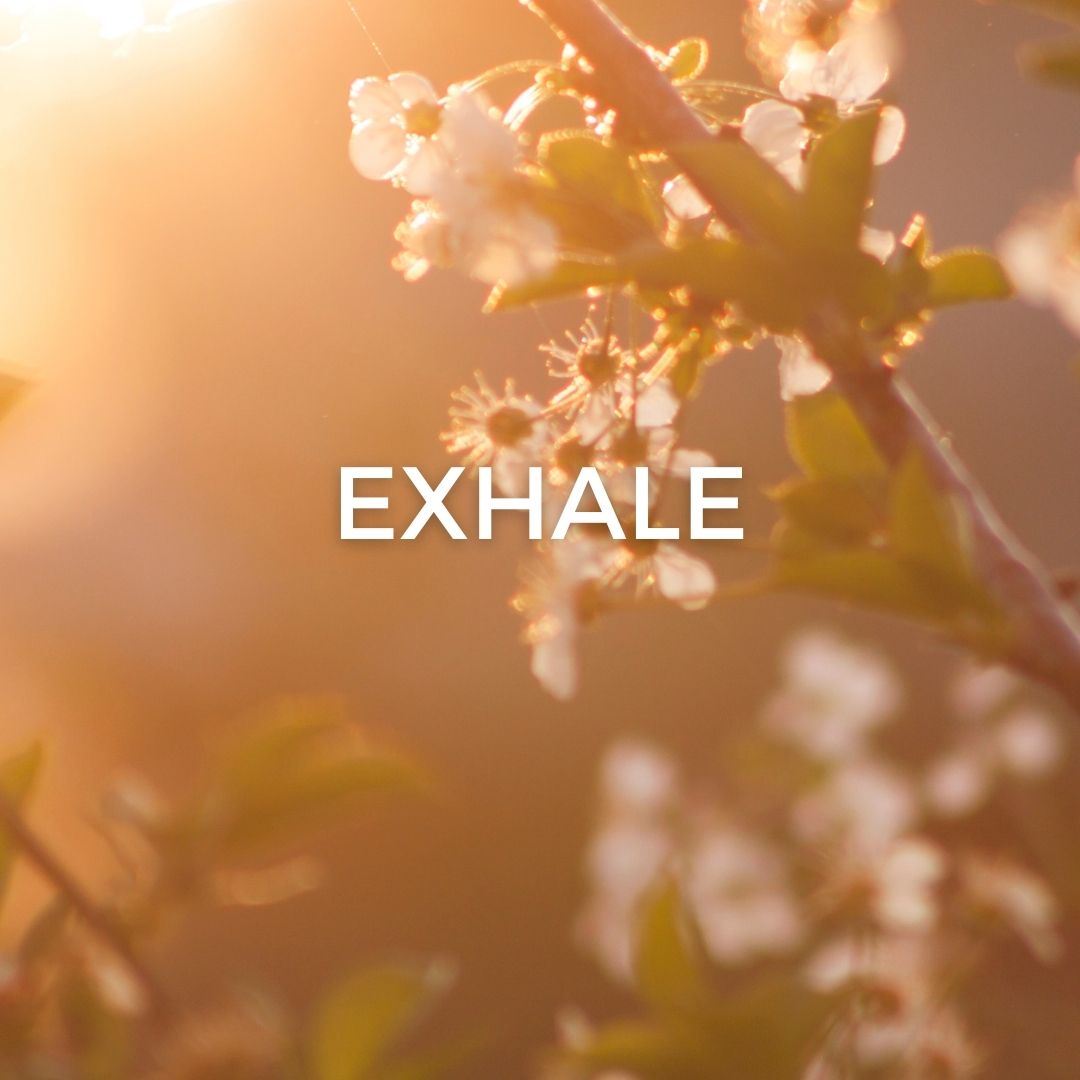 Exhale (Sermon)