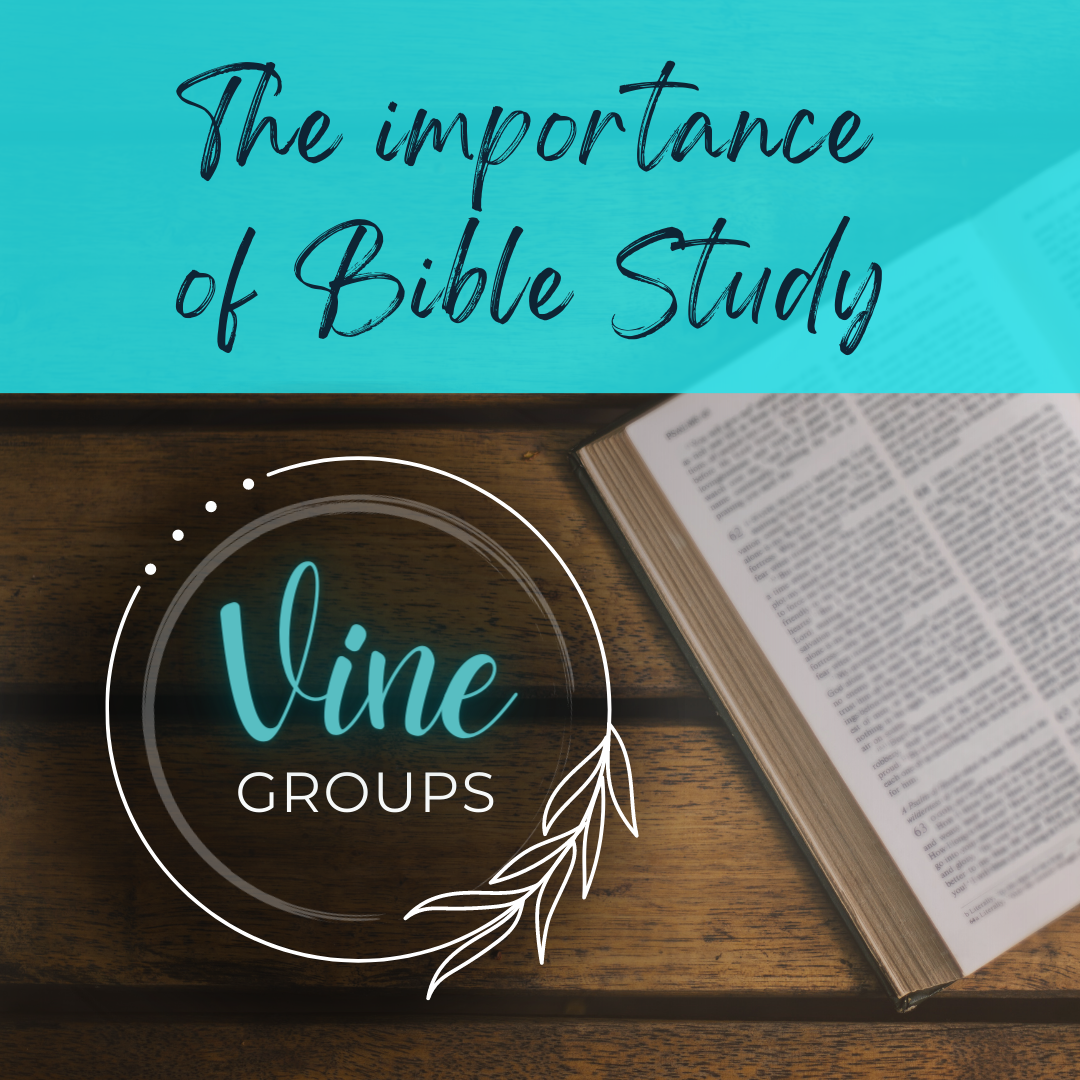 The Importance of Bible Study (Message from Michelle Boston)