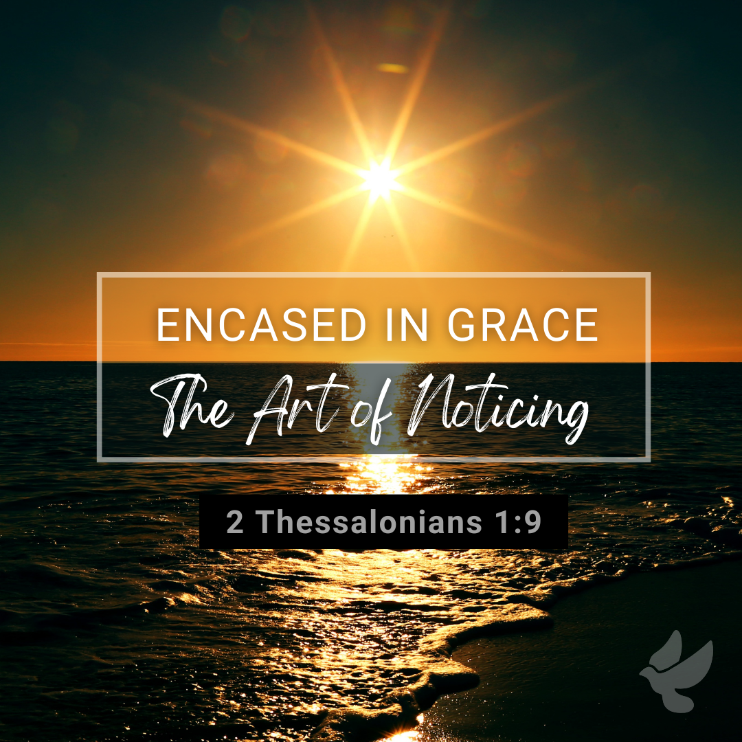 Encased in Grace (The Art of Noticing) - Sermon