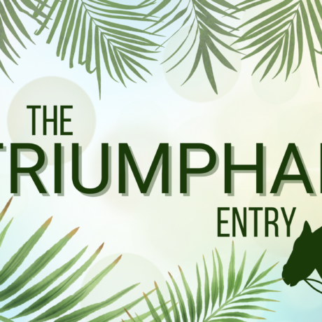The Triumphal Entry - Palm Sunday