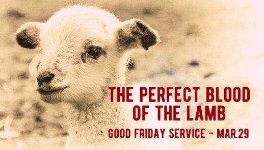 The Perfect Blood of the Lamb