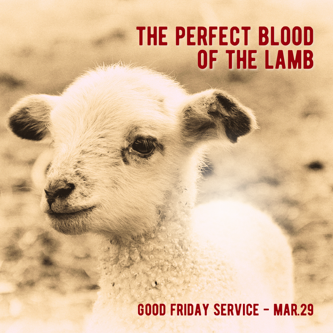 The Perfect Blood of the Lamb (Sermon)