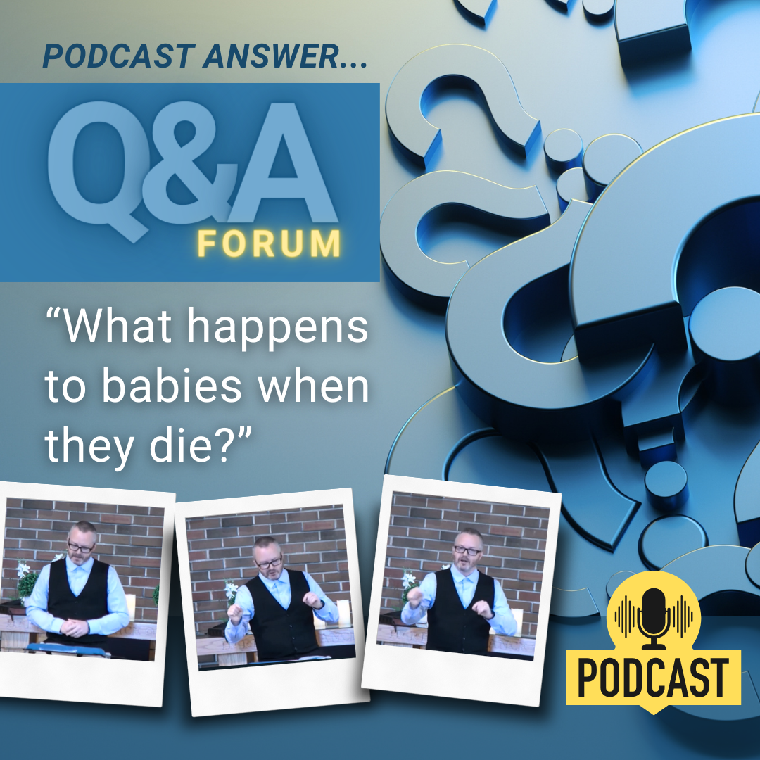 What happens to babies when they die? [Q & A Forum]
