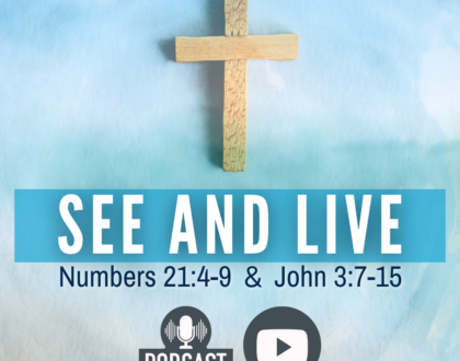 See and Live (Sermon)