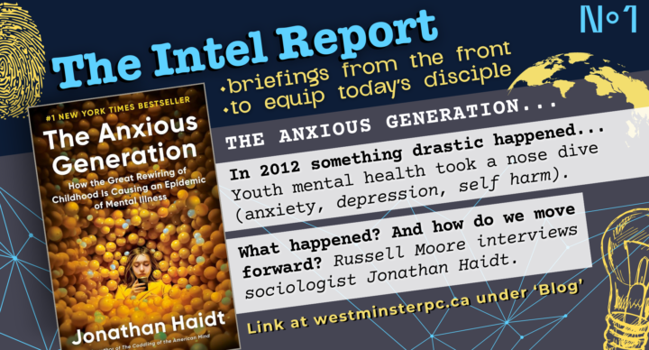 Introducing The Intel Report - The Anxious Generation (No. 1)