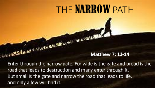 The Narrow Path