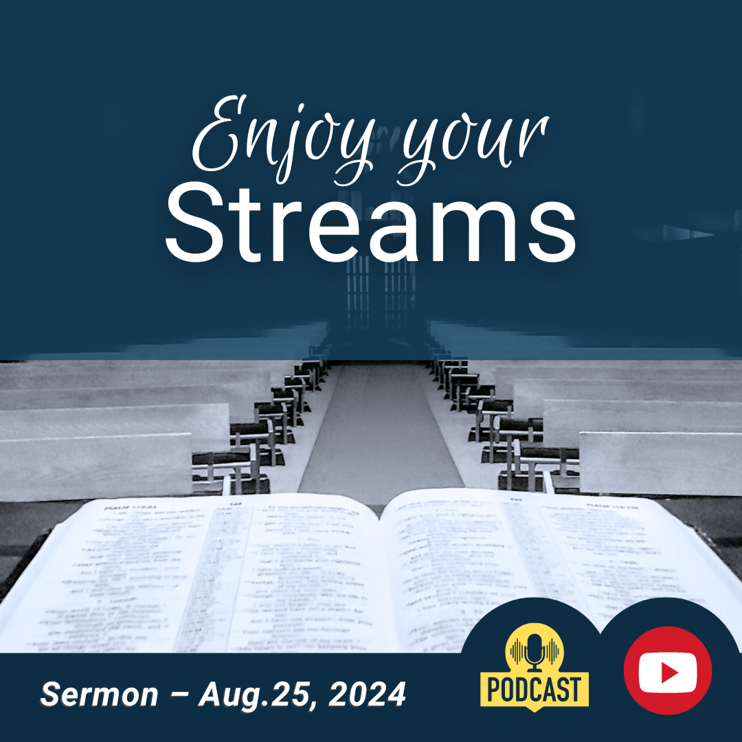 'Enjoy your streams' (Sermon)